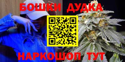 дживик Дубна